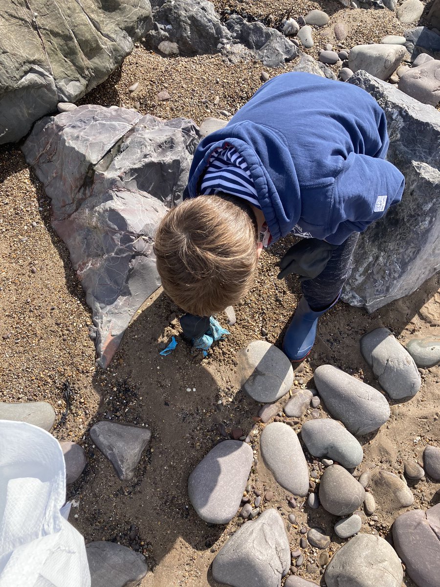 CleanerHarry's tweet photo. Always a bag to dig out #beachclean #2minutebeachclean #plasticfree #minehead @PlasticWaive @BanSingleUse @trashplasticnow @sascampaigns @VisitMinehead https://t.co/VWsd8Oix3j