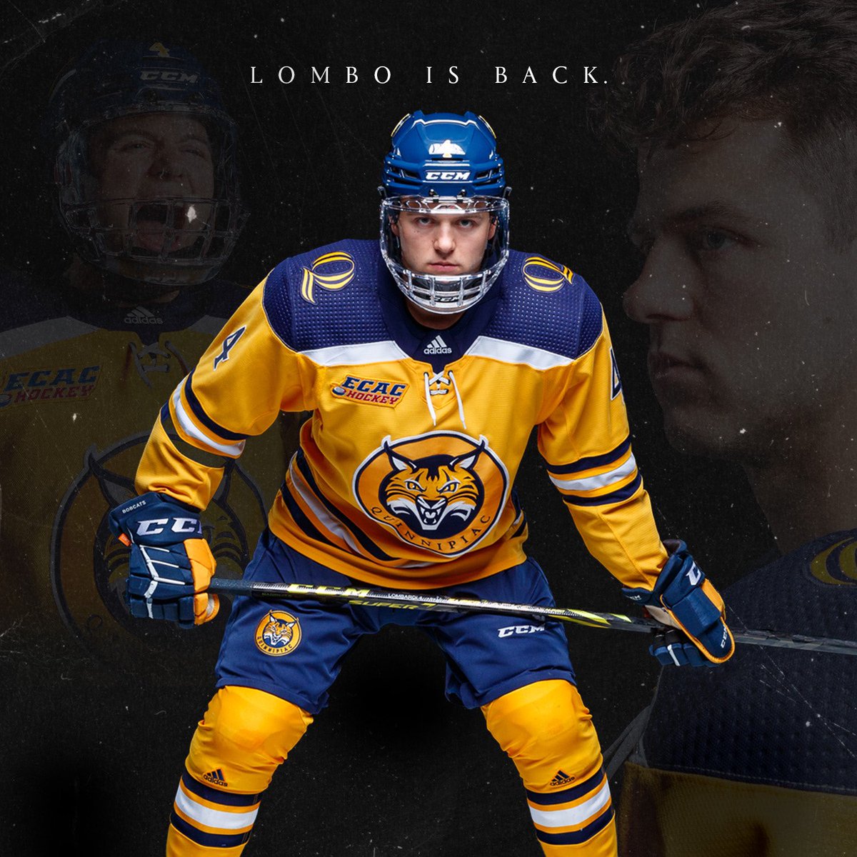 QU_MIH's tweet image. Lombo. Is. Back.

#QuinnipiacCulture #BobcatNation