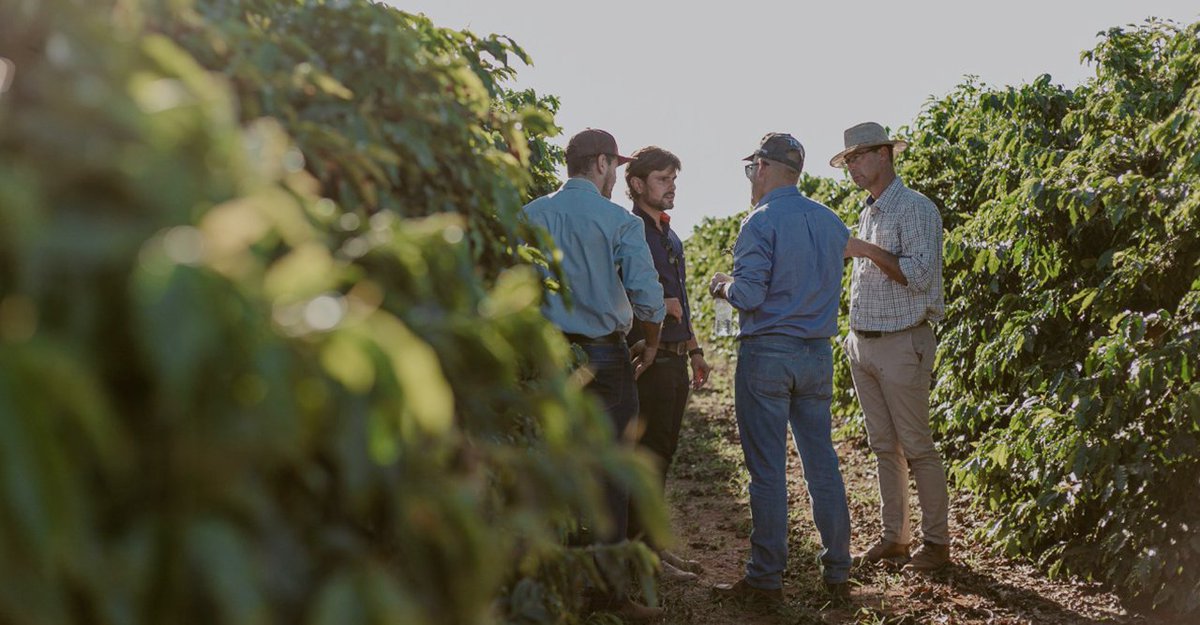 O grupo da Koppert, com representantes de países da Europa, América do Norte e África, participaram do Agritour para conhecer o manejo biológico nas principais culturas brasileiras. Em Araguari (MG), visitaram campos de café e avaliaram os resultados dos produtos no cafezal. ☕