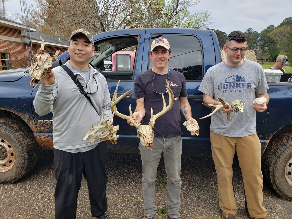 AU_Conservation's tweet photo. Thanks to the Auburn Deer Lab and PhD student @MonetAGomes for inviting us on a big shed hunt today! https://t.co/L7HeIhUqV5