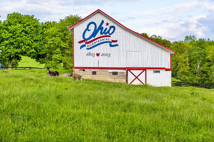 RockyMtnMed's tweet photo. Seeking Clinical Psychologists with experience and a strong focus in the evaluation of ADHD for Westerville, OH!
Contact Arleen at arichardson@rm-med.com
#PhysicianSourcing #PhysicianJobs #Psychology #ADHD #PsychologyTwitter #psychtwitter #Healthcare #MentalHealth #Health https://t.co/MYfwNS27zX