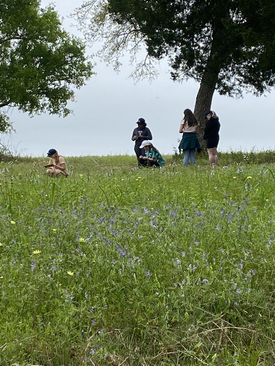 EdWhiteEstem's tweet photo. When science meets Language Arts… nature journaling! @EdWhiteEstem @GBayFoundation #ccisdlearns https://t.co/fYtGDj1F6j