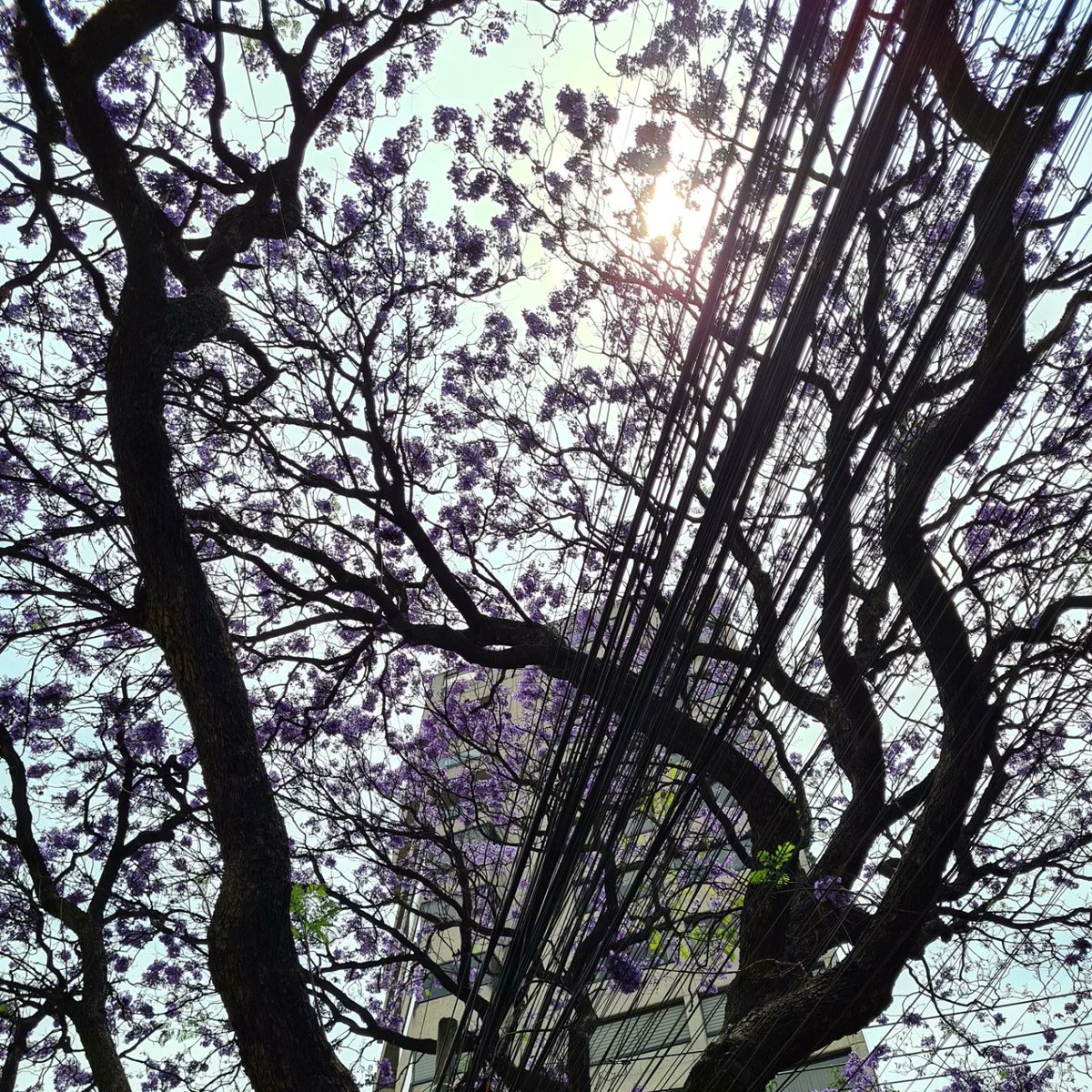 eduard_lg's tweet photo. Te quiero mucho #CDMX #ILoveDF https://t.co/QdGaaInUSz