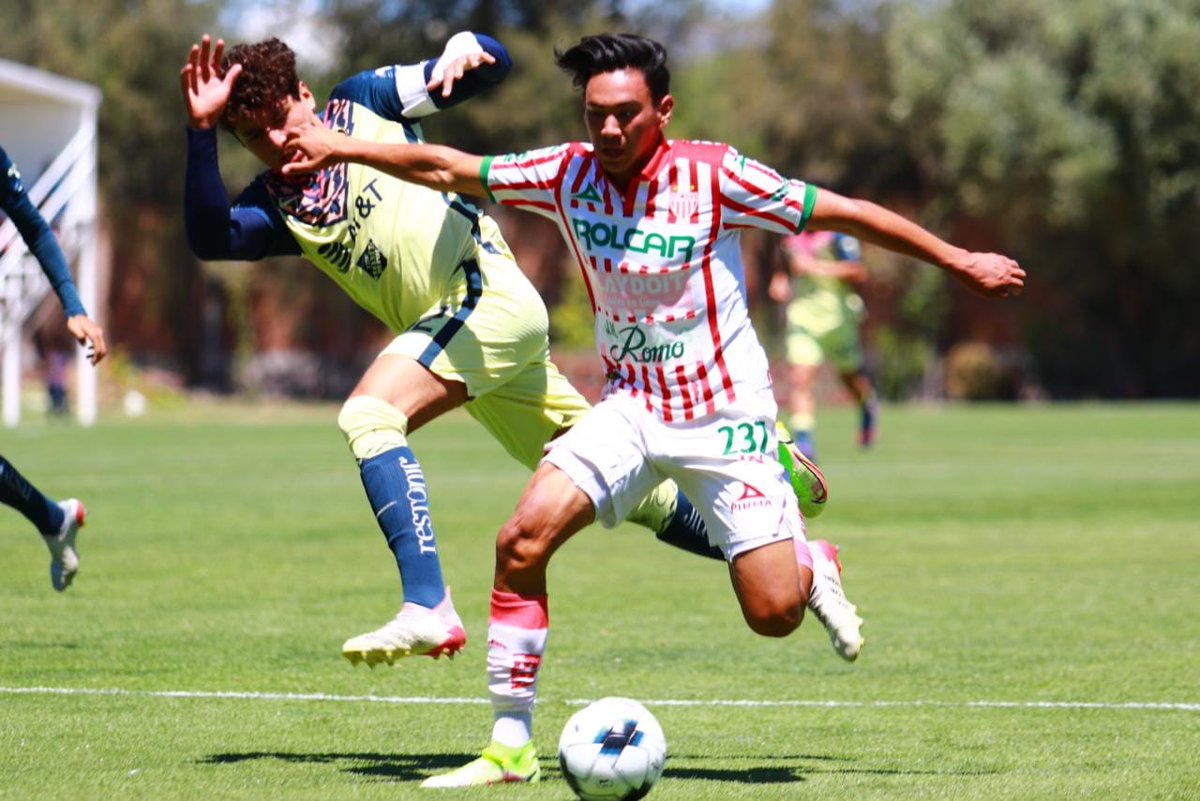 ClubNecaxa's tweet photo. En el segundo compromiso del día en Casa Club, los Rayos #Sub18 igualaron 2-2 ante @America_FB. Ambos goles de nuestro equipo anotados por @Waldomadridq.

#ContiGoNecaxa ⚡ https://t.co/2dLCbrO3s2