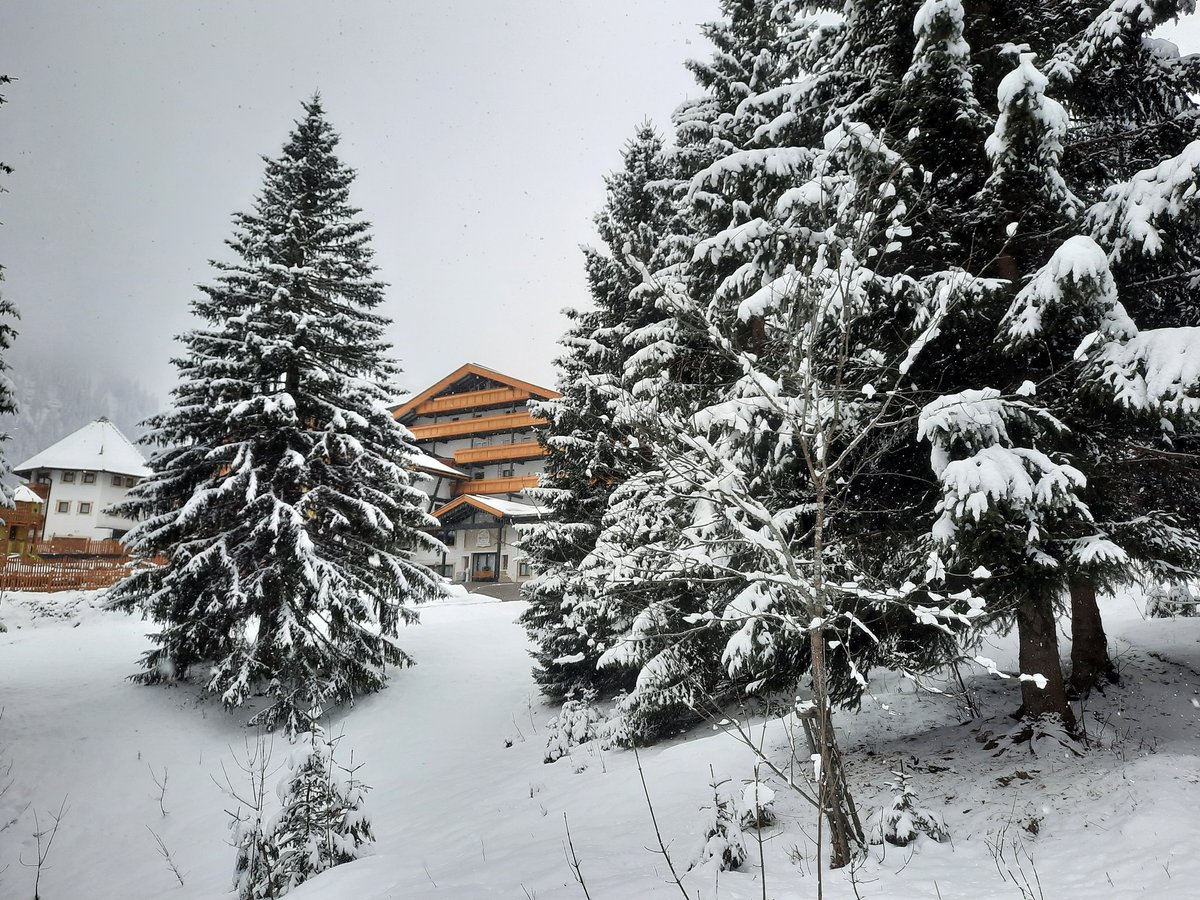 wetterkoess's tweet photo. Tief winterlich heute am Nachmittag in #Berwang (Bezirk Reutte/Tirol) auf 1300m bei -4°C und teils starkem #Schneefall mit Verwehungen https://t.co/Wf4yBHRu4T