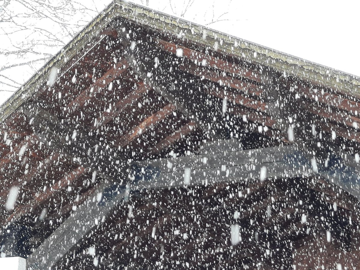 wetterkoess's tweet photo. Tief winterlich heute am Nachmittag in #Berwang (Bezirk Reutte/Tirol) auf 1300m bei -4°C und teils starkem #Schneefall mit Verwehungen https://t.co/Wf4yBHRu4T