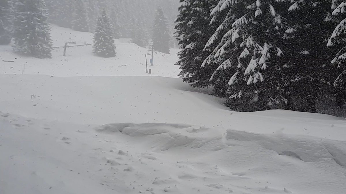 wetterkoess's tweet photo. Tief winterlich heute am Nachmittag in #Berwang (Bezirk Reutte/Tirol) auf 1300m bei -4°C und teils starkem #Schneefall mit Verwehungen https://t.co/Wf4yBHRu4T
