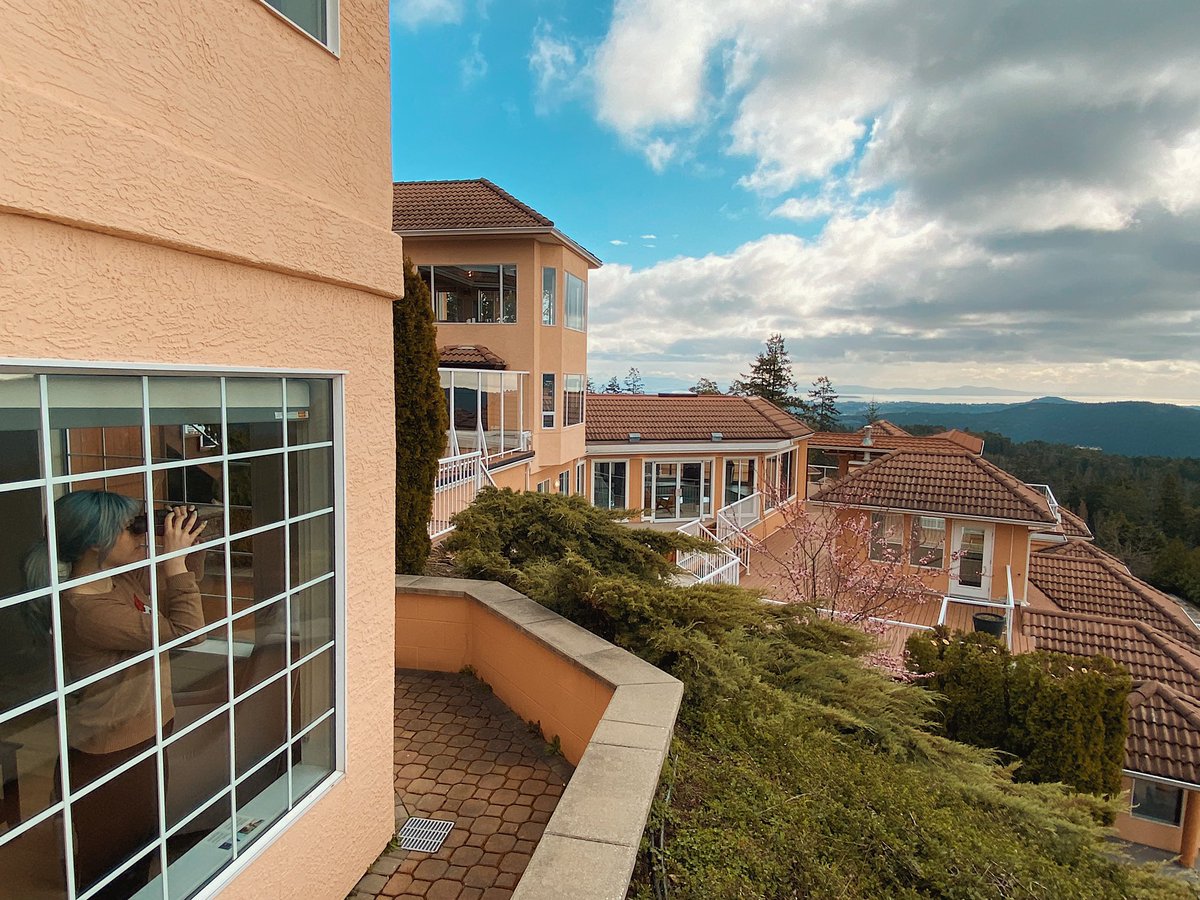 Nicholas Kole tweet media