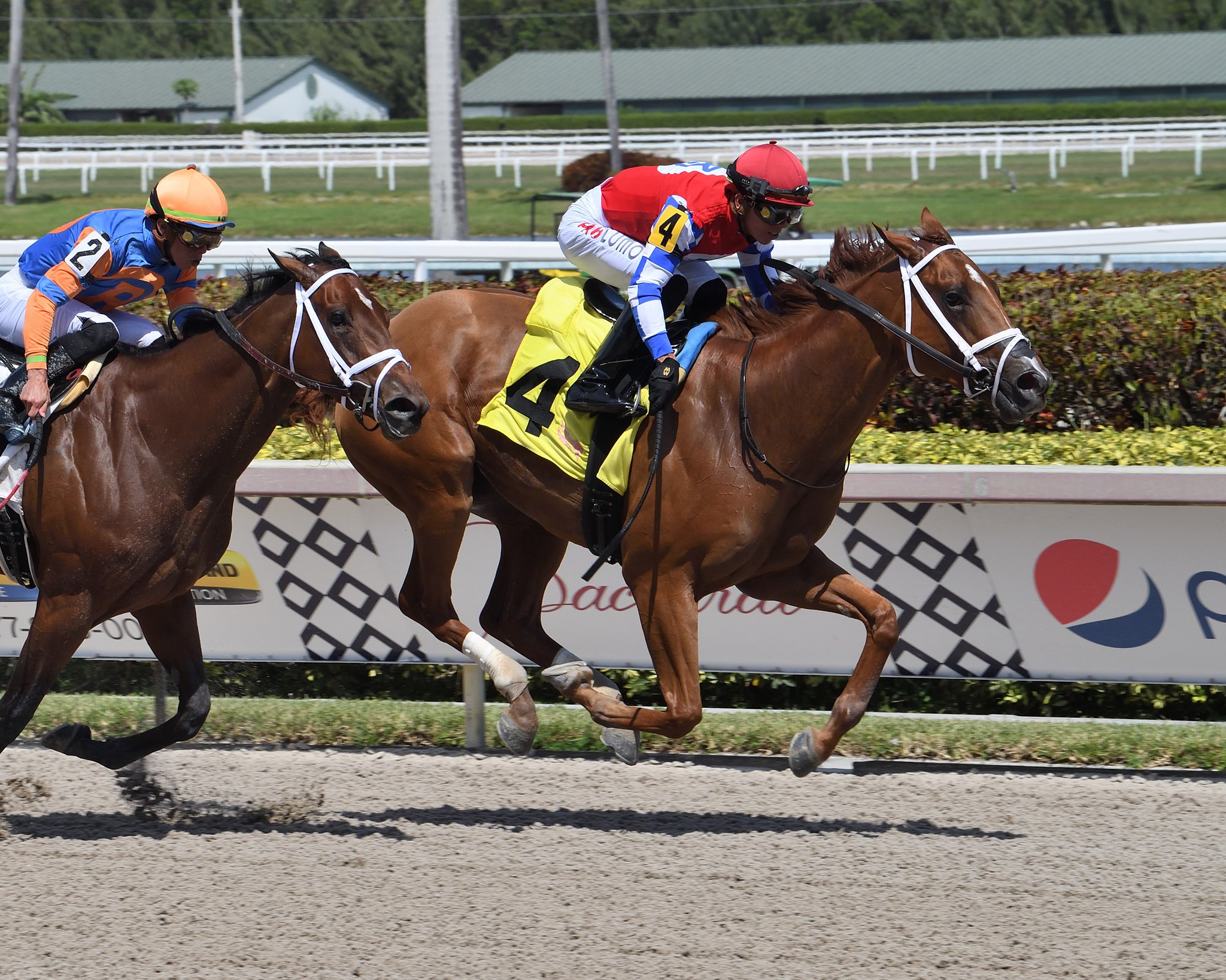 Gulfstream Park Horse Race Results - bv4fkie