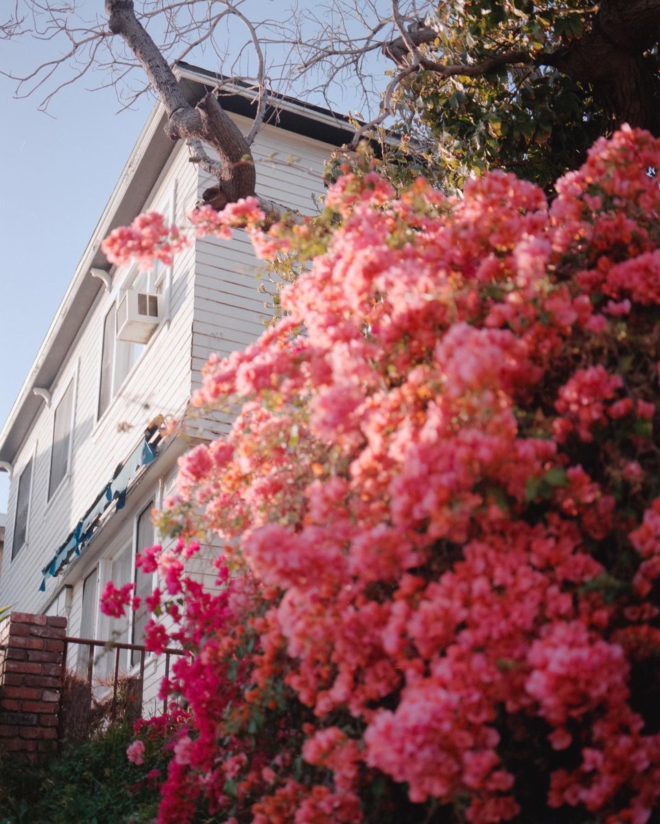 Happy SPRING.