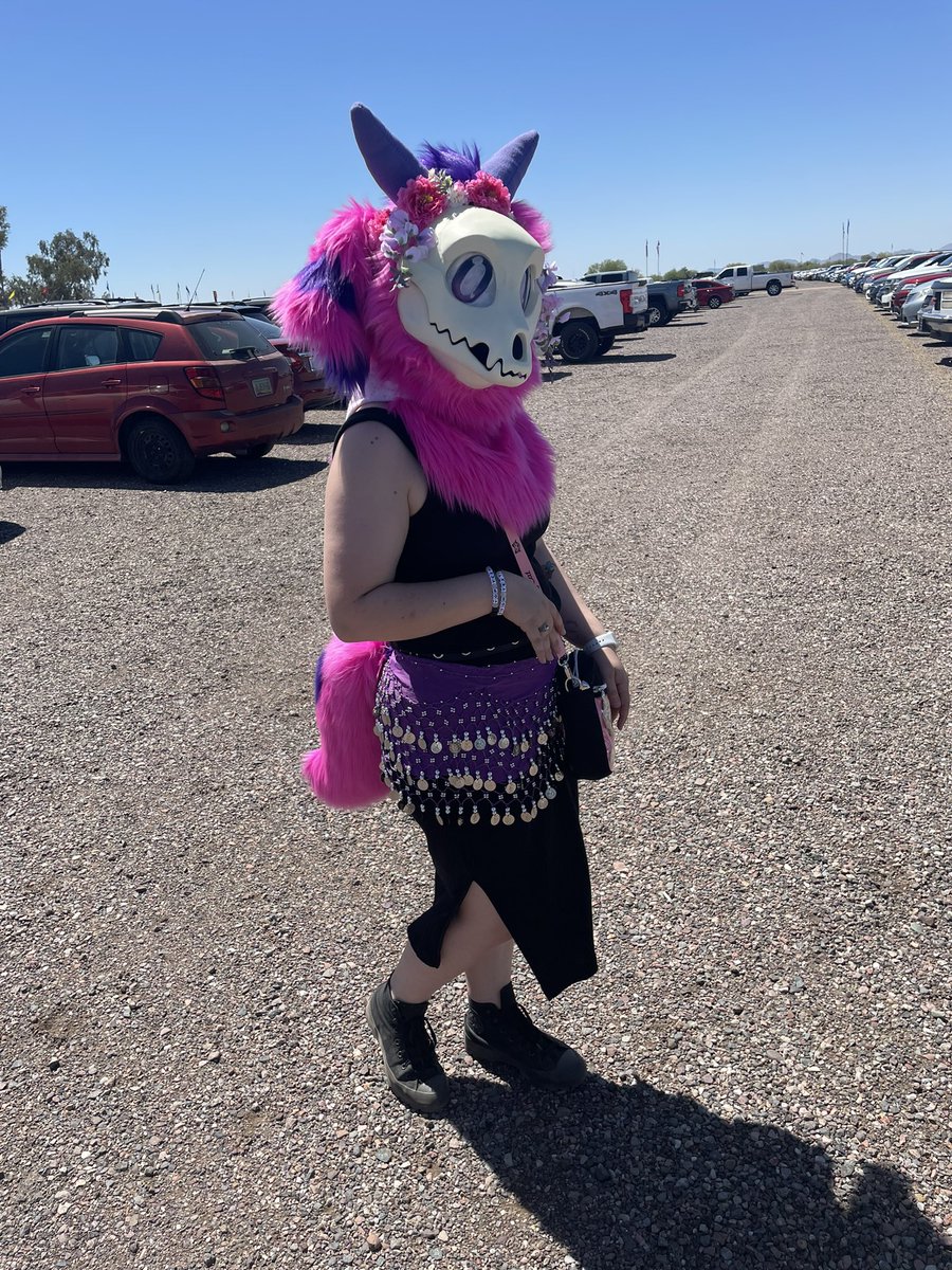 GrumpPng's tweet photo. Arizona ren faire was fun! So glad I made it after just getting to AZ yesterday 😂 can’t wait for more fun here! 
@TheInodog @azrenfest 

#fursuit #fursuiting #skulldog #skulldogs #azrenfaire #azrenfest https://t.co/UhYoiVFpSM