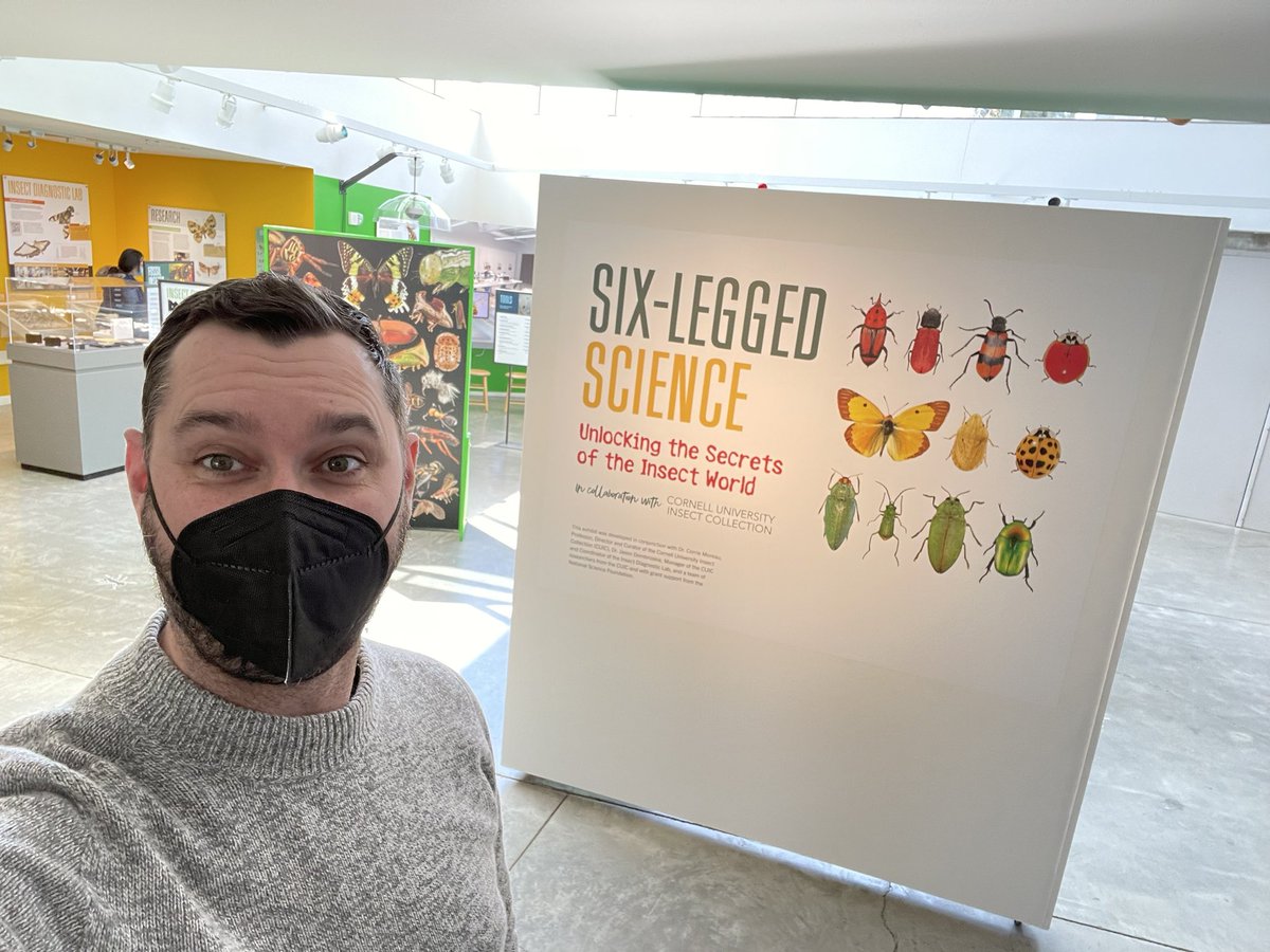 Chemistophe's tweet photo. So amazing to see the #SixLeggedScience exhibit @PRInstitution Museum of the Earth!
So proud of @CorrieMoreau 🤩 and thanks to everyone who contributed to this beautiful insect celebration 🐞 🐜 🦋 https://t.co/TiapbYjhaU