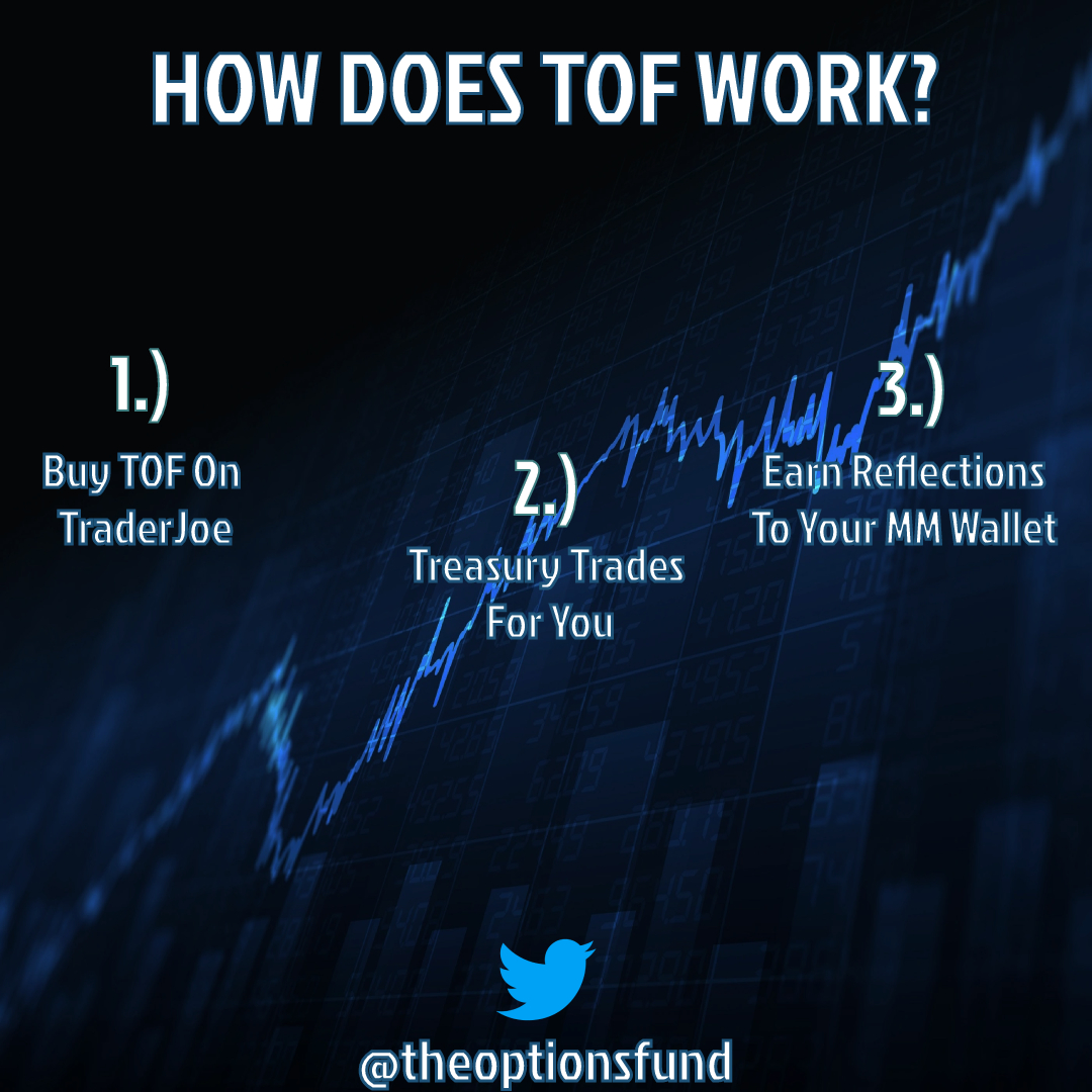 The Option Fund tweet media