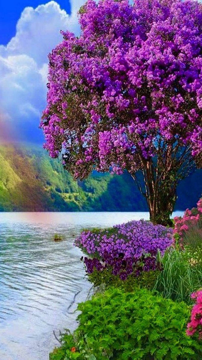 GKCV213's tweet photo. Spring adds new life 
and new joy to all that is. https://t.co/92YneqY0Ih