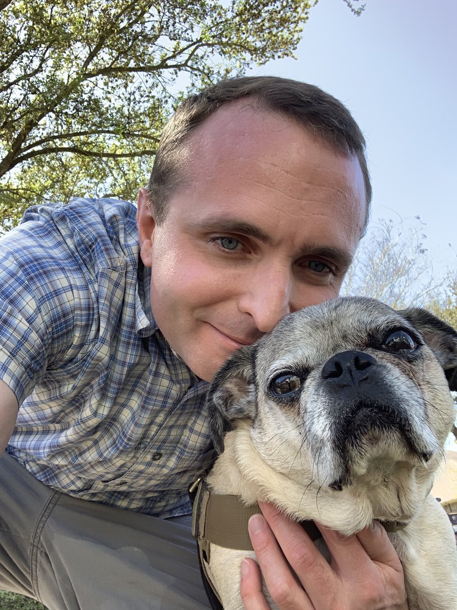 savethorthepug's tweet photo. Thor decided to walk me around the block and then some, I hope that he remains this strong 😄 #caninecancer #pug #masscelltumuor #foreverapuppy #priceless https://t.co/egvWYPkrYO