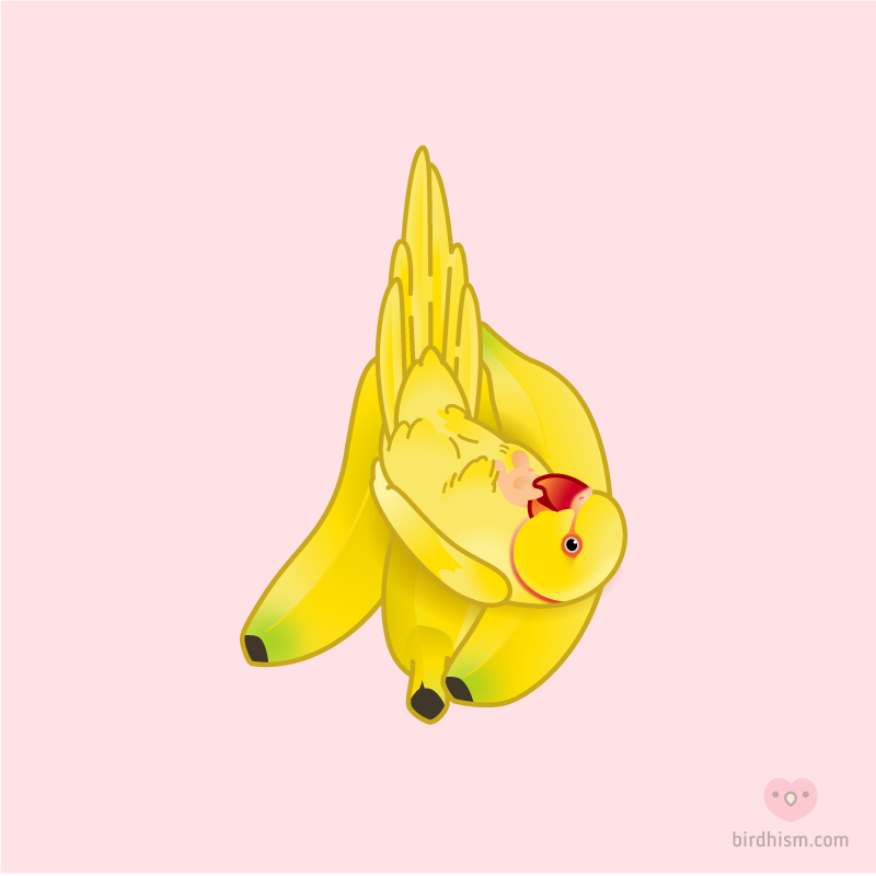 birdhism's tweet photo. Beware of biting bananas.🍌 https://t.co/DWtmlXOcR1