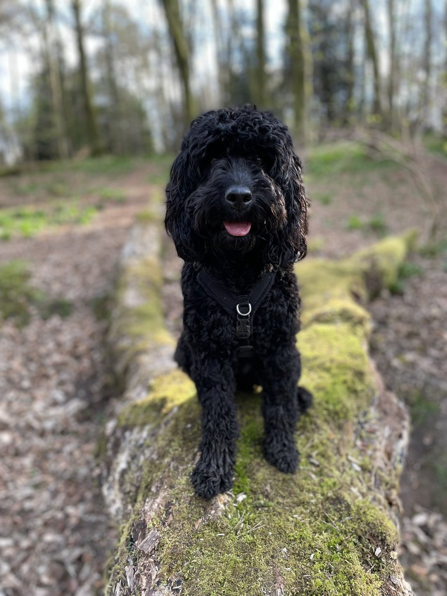 Finlay Begg tweet media