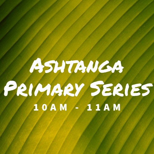 Join us tomorrow for a wonderful ashtanga primary series class with Adele Mullhall 🙏✨ 

#yoga #hotyoga #ashtanga #ashtangayoga #ashtangaprimaryseries #fitness #strength #motivation #lifestyle #energy #goodvibes #liverpool