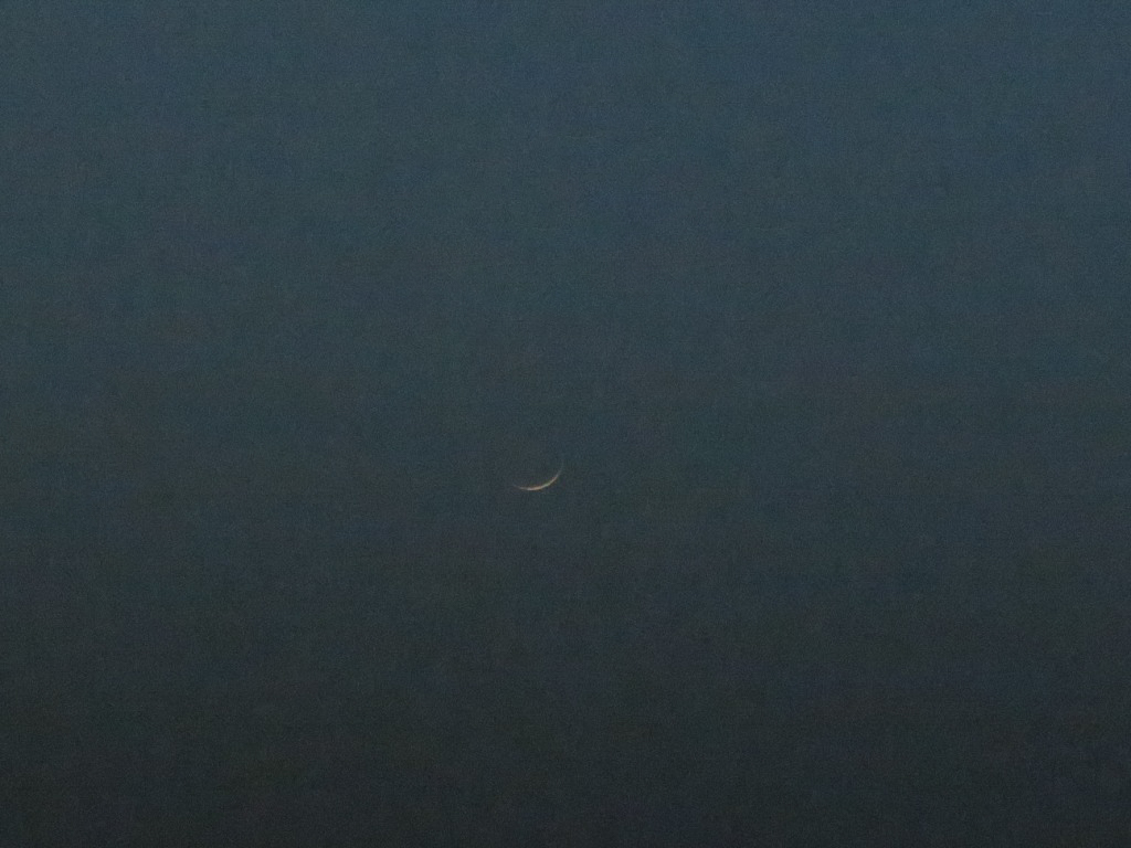trhonymohamed's tweet photo. Crescent Lunar is illuminated only by 2% after sunset over Tripoli,Libya.
Saturday ,April 2nd, 2022.
#Moon
#Luna
#NasaRocket
#ObservetheMoon
#MoonHour
@MoonHour321
@TheStormHour
@ThePhotoHour
@NASAMoon
#Astronomy
#Astrophotography
#canonphotography https://t.co/VBNfq4eNv3