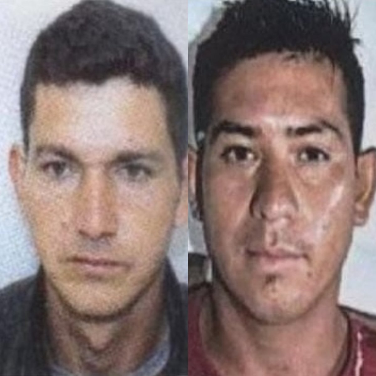 py_urgente's tweet photo. 📍#URGENTE 

El vocero de la @codi_FTC, Luis Apesteguía, confirmó a Última Hora que los cuerpos hallados este sábado en Yby Yaú, fueron identificados por los familiares de Esteban David Valenzuela (28) y Julio César Aveiro Cárdenas (31), ambos, capturados por el EPP.

#PyUrgente https://t.co/VGq7bDtNTz