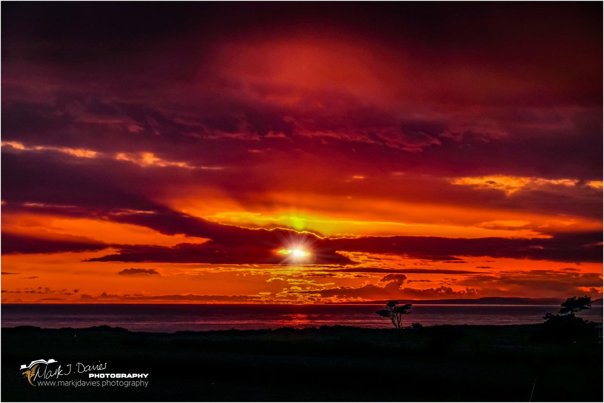 Mark J Davies Photography tweet media