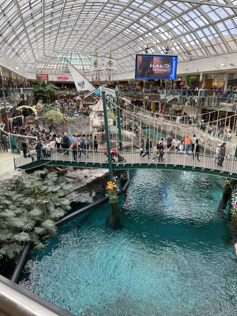 Juan Gomez tweet media