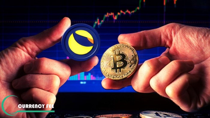 currencyfee1's tweet photo. دو کوون (Do Kwon) مدیرعامل آزمایشگاه ترا فرم (Terraform) عنوان کرده است که روی رشد بلندمدت قیمت بیت کوین سرمایه‌گذاری کرده است و نوسانات کوتاه مدت اهمیتی ندارند. https://t.co/js5AZff1Cc