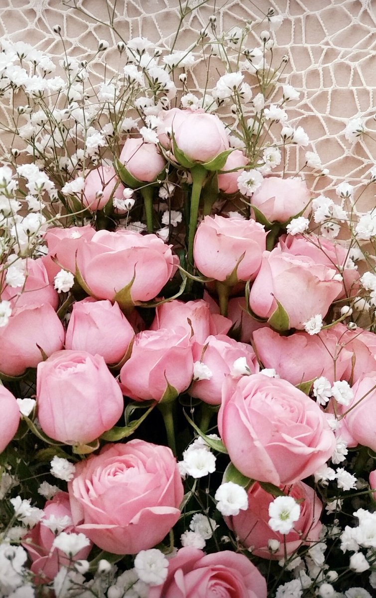 꽃!!너참 예쁘다..