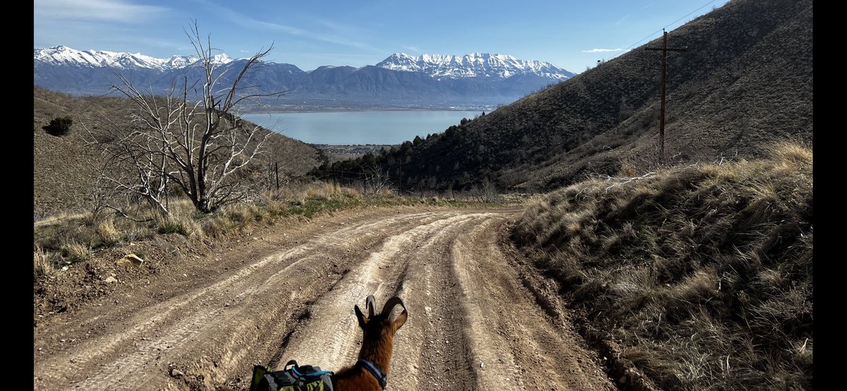 Beautiful day for a hike!! Just a girl and her goat…He’s starting to grow on me!🤣
