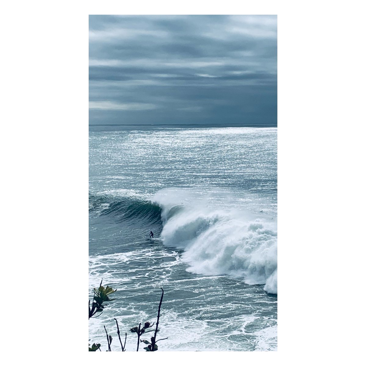 Altmanlysydney's tweet photo. Surf’s up, Deadmans, Manly, Sydney #surfing #manly #deadmans #sydney #bigsurf #bigsaturday https://t.co/cQewoOJz9E