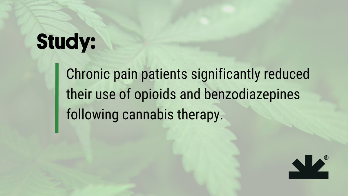 These are the studies that keep us fighting for increased access to #medicalcannabis.

Read more studies on how #cannabis impacts dependence on prescription drugs for #chronicpain relief: bit.ly/3xs6LQy