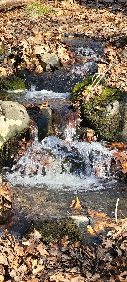 Hudson_Hiker's tweet photo. The Mountains are alive and running!
It's beautiful!
#hiking #NYShiking #Westchester #hikingwestchester #westchesterparks #Peekskill #Cortlandt #hike #Saturday #saturdayhike #weekends #weekendhikes https://t.co/CHVdCyrvw7