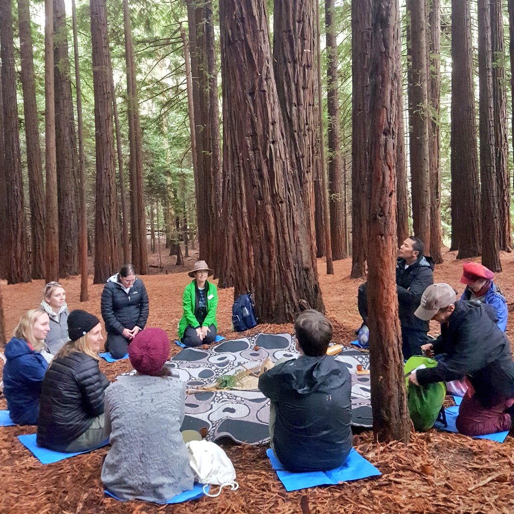 In_My_Nature's tweet photo. "When we walk into a grove of trees or under an open sky the magic of nature takes over and the heaviness of life lifts a little."~ Natassia Cassinero
A #ForestTherapy walk concludes with #BushTea and community sharing and reflection. Thank you for supporting the trainee guides! https://t.co/ouHFPNTpSe