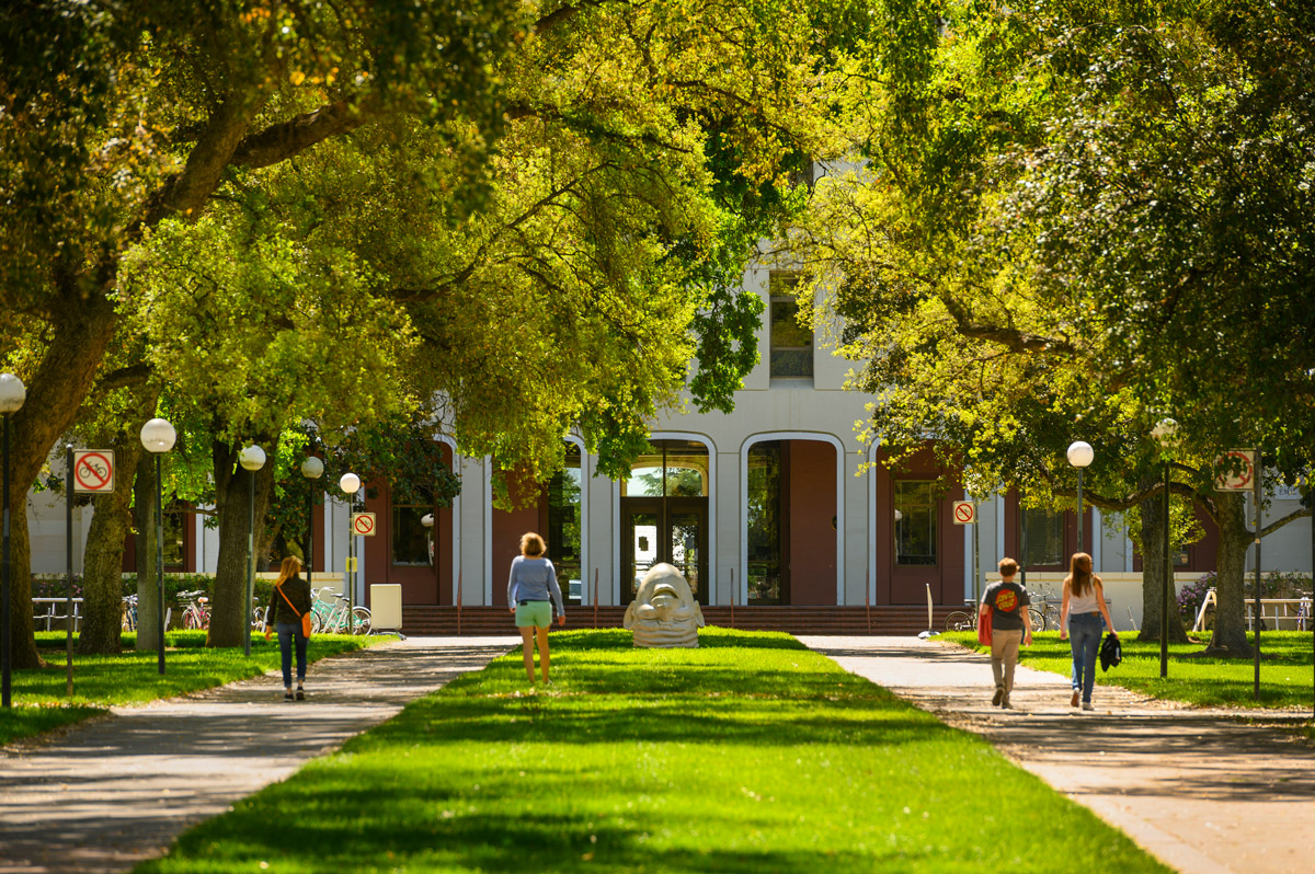 evolvingseas tweet media