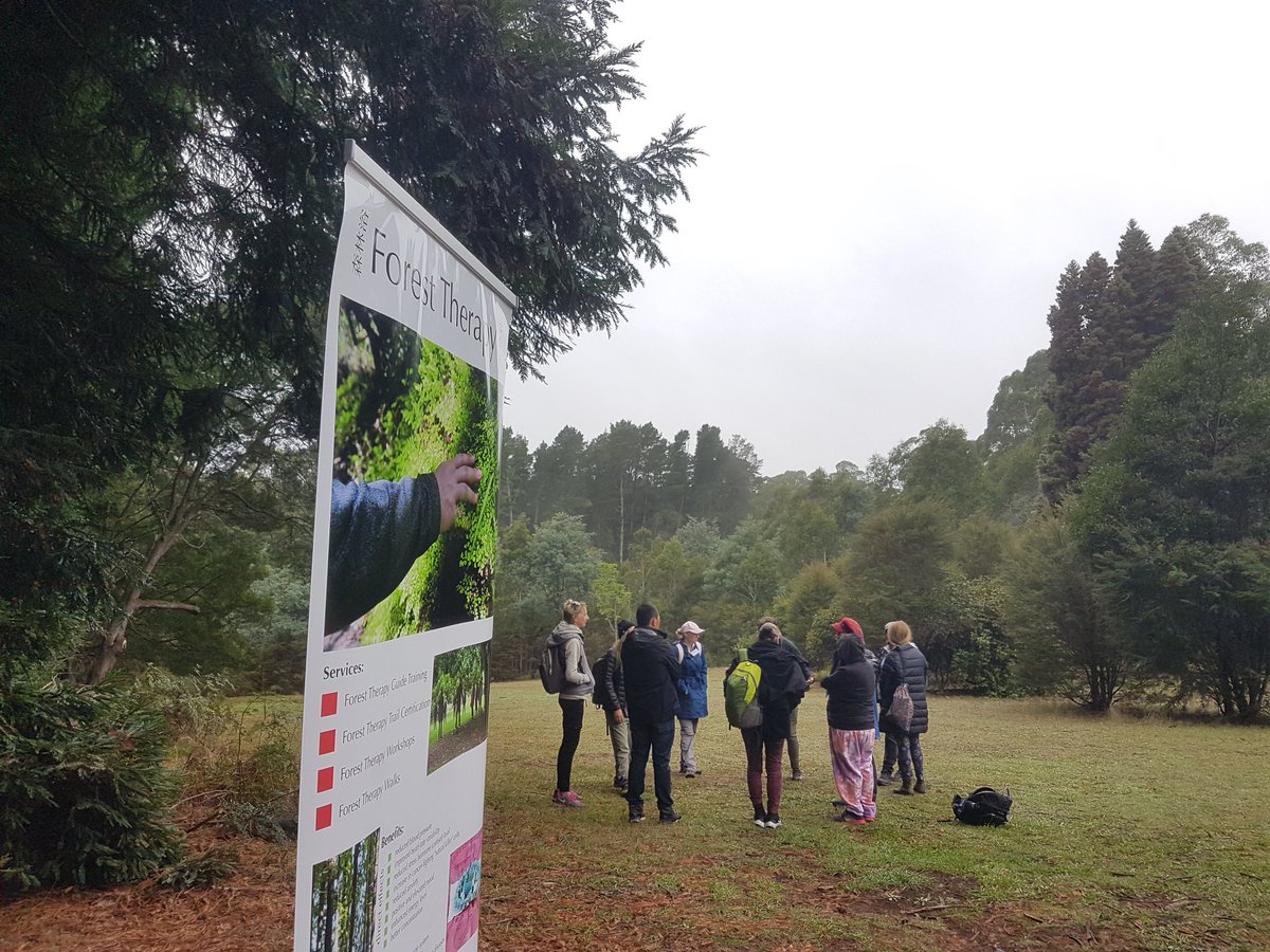 INFTA_FTGuide's tweet photo. "When we walk into a grove of trees or under an open sky the magic of nature takes over and the heaviness of life lifts a little."~ Natassia Cassinero
A #ForestTherapy walk concludes with #BushTea and community sharing and reflection. Thank you for supporting the trainee guides! https://t.co/4xfVkxW46m