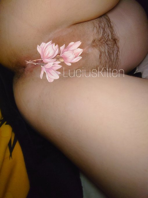 Wanna peek beneath the covers? https://t.co/eBNTZkD9zu