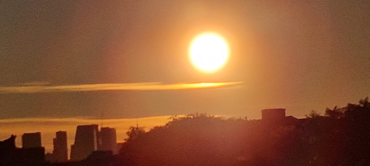 Close-up #Sunday #Sunrise #Sydneyskies #StormHour #AprilSun