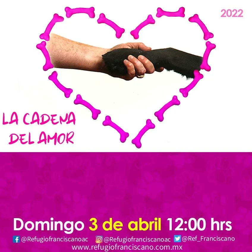 Dcyon's tweet photo. #NoAlDesalojoDelFranciscano #SalvemosALos1500 https://t.co/dcUTUtNQjb