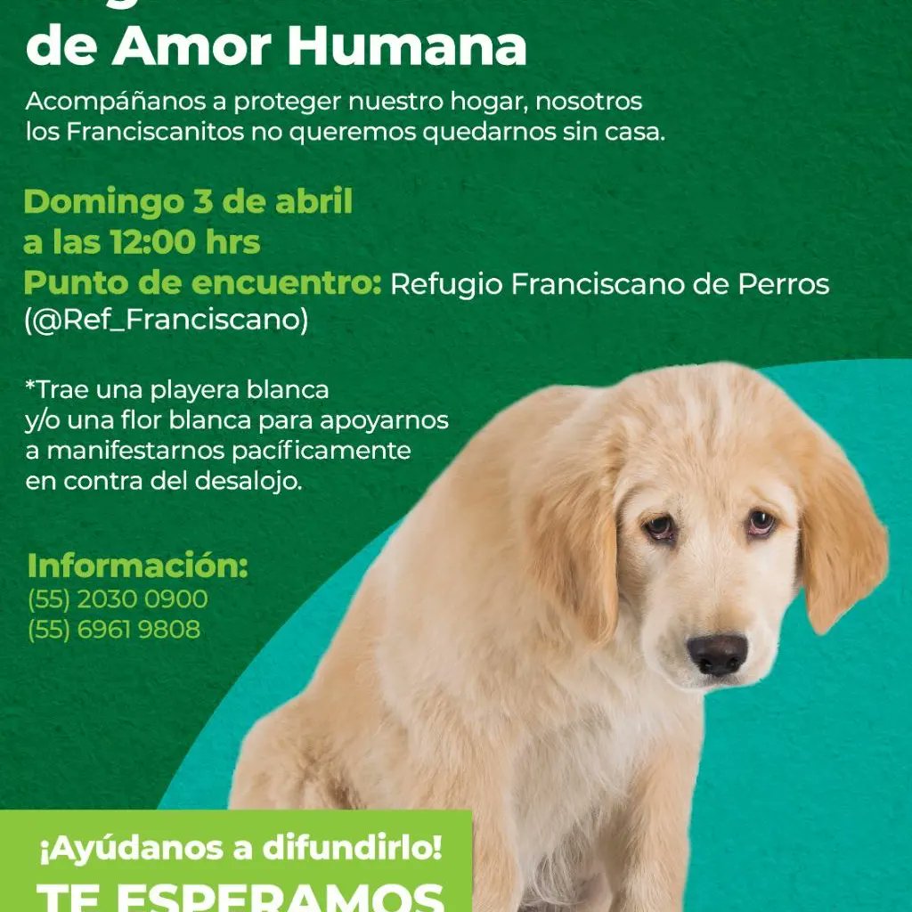 Dcyon's tweet photo. #NoAlDesalojoDelFranciscano #SalvemosALos1500 https://t.co/dcUTUtNQjb