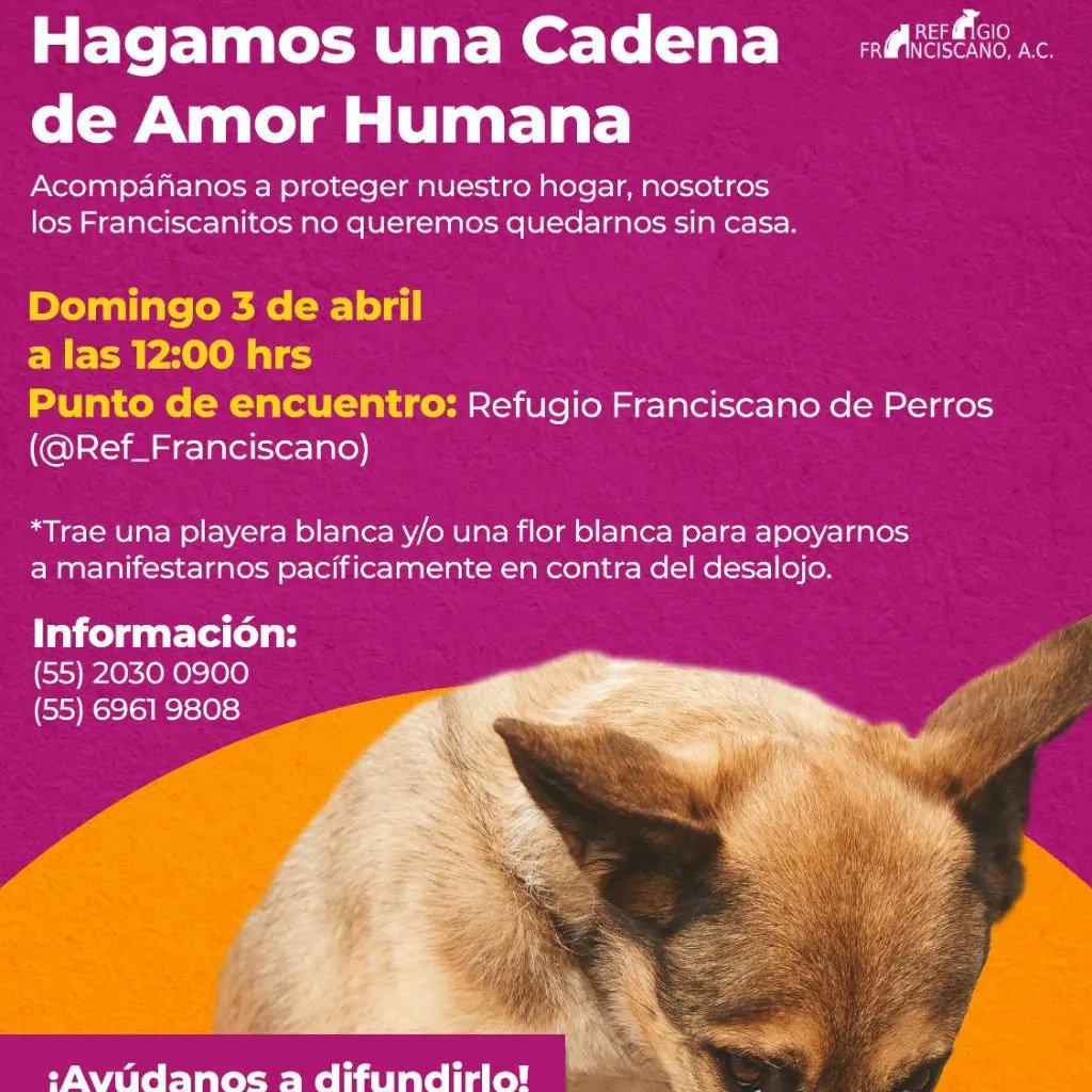 Dcyon's tweet photo. #NoAlDesalojoDelFranciscano #SalvemosALos1500 https://t.co/dcUTUtNQjb