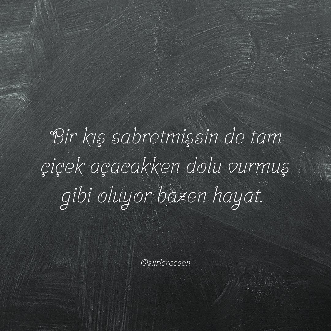 Şiirlerce Sen (@siirlercesen) on Twitter photo 