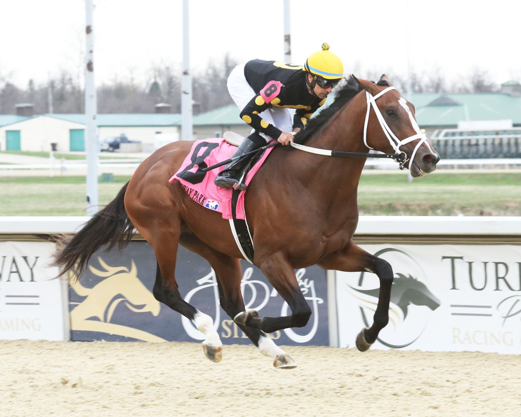 Turfway Park Racing & Gaming (TurfwayPark) / Twitter