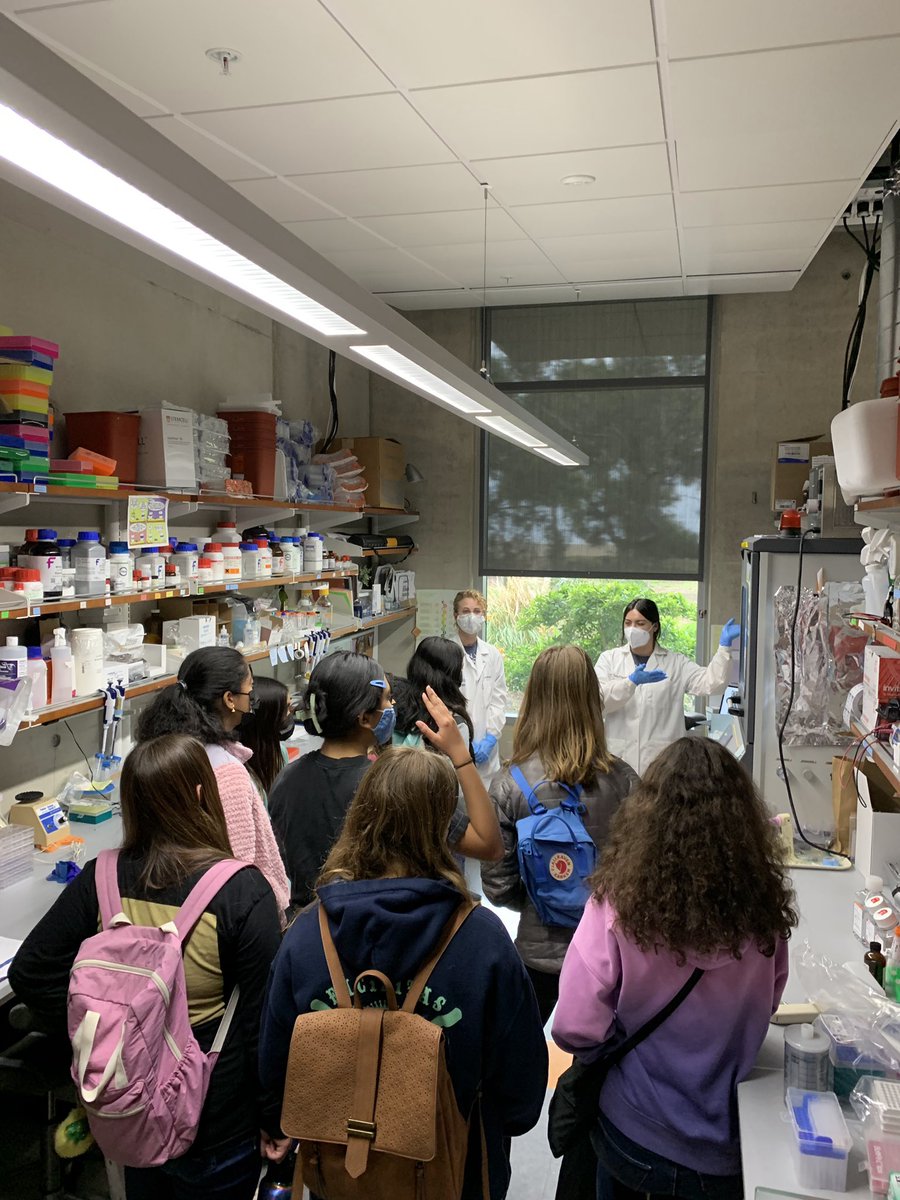 AdamEnglerUCSD's tweet photo. Thanks to all the @sdgirlscouts that visited @UCSDJacobs and @ucsdbe! Lots of great #WomenInSTEM!!! Thanks to @BEGS_UCSD for organizing and @ChristmanLab, @BrianAguado. https://t.co/GdpVzjeQ6z