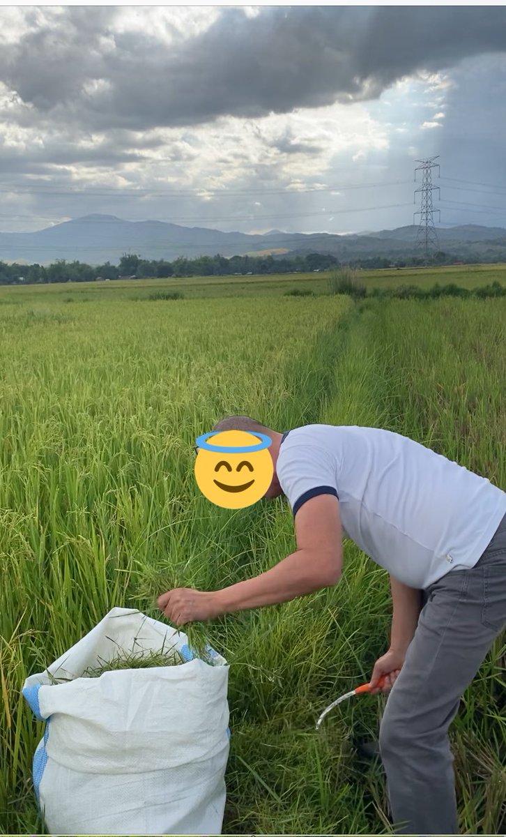 UD farmer tweet media