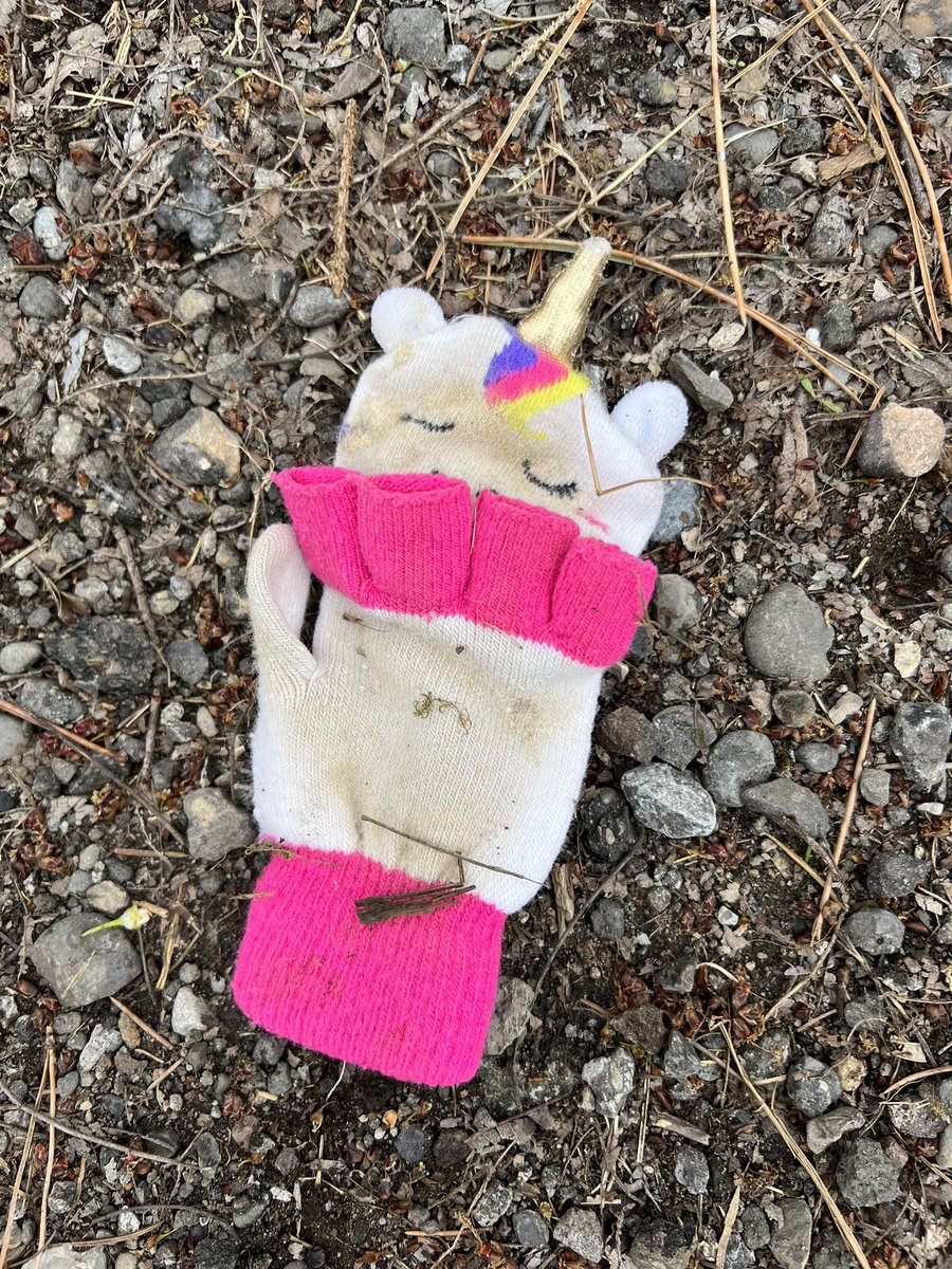 markwoodsaz's tweet photo. @tomhanks I found this on my walk today. https://t.co/hApraoz65Z