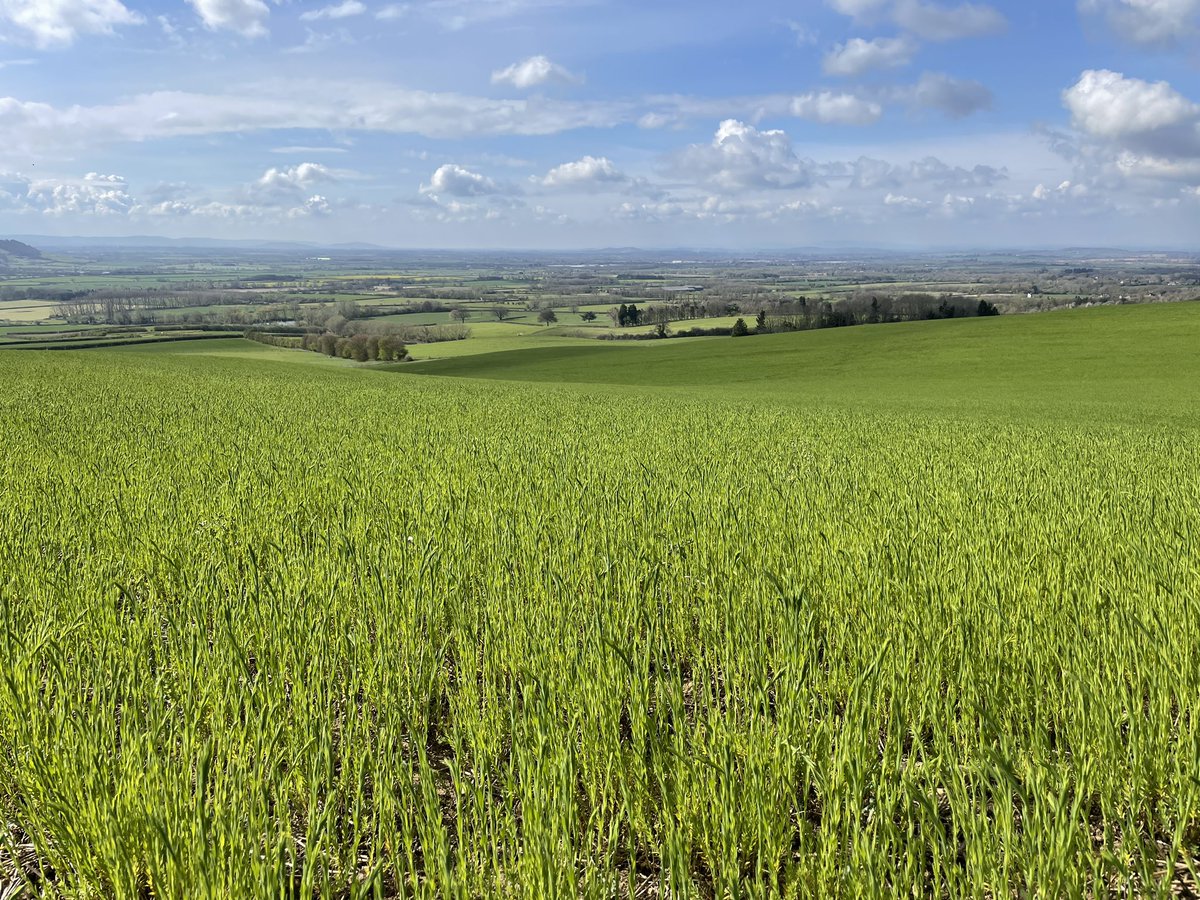 No1FarmerJake's tweet photo. What a great morning looking round the #farm #officebound #bredonhill looking forward to welcoming @LEAF_Farming #beacon #farmers on #Monday https://t.co/uvJmN8GrL9