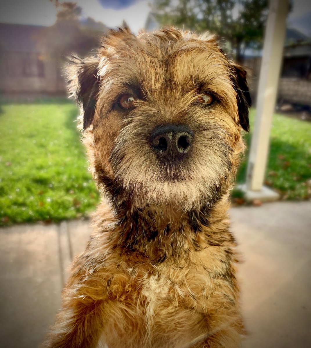NTMTopa's tweet photo. I imagine that this would ⁦@Topa_the_BT⁩ mugshot if he were ever caught doing what he would never do. https://t.co/9uz6DyZ0ZW