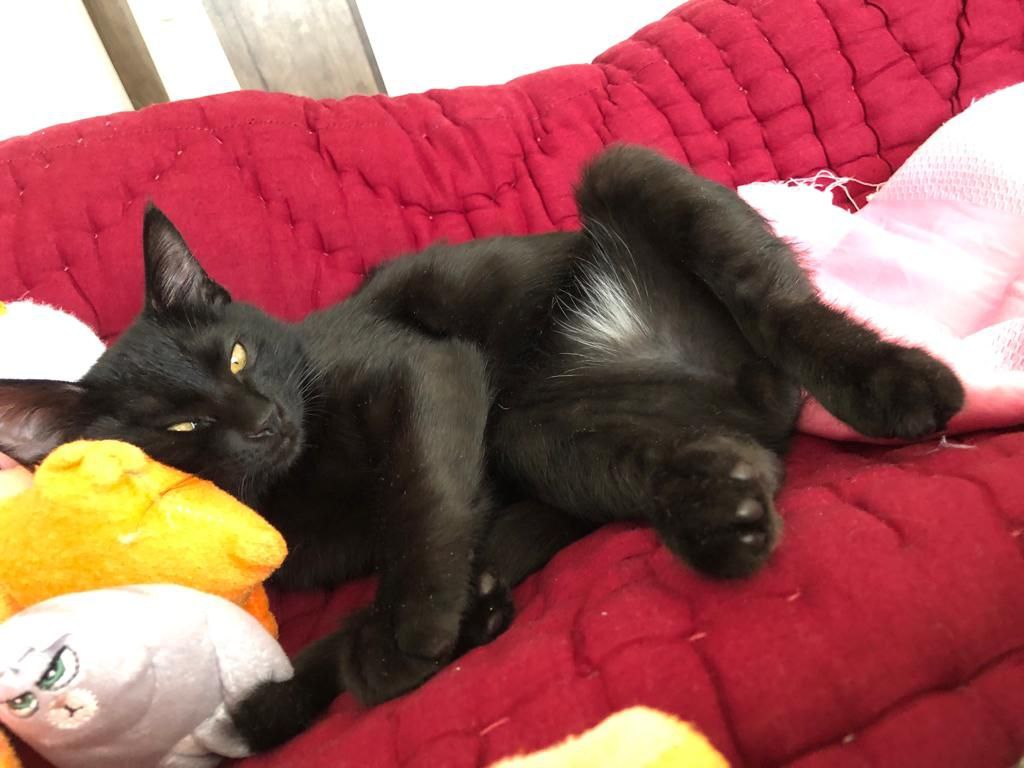 zeos fk (@zeosfk) on Twitter photo 