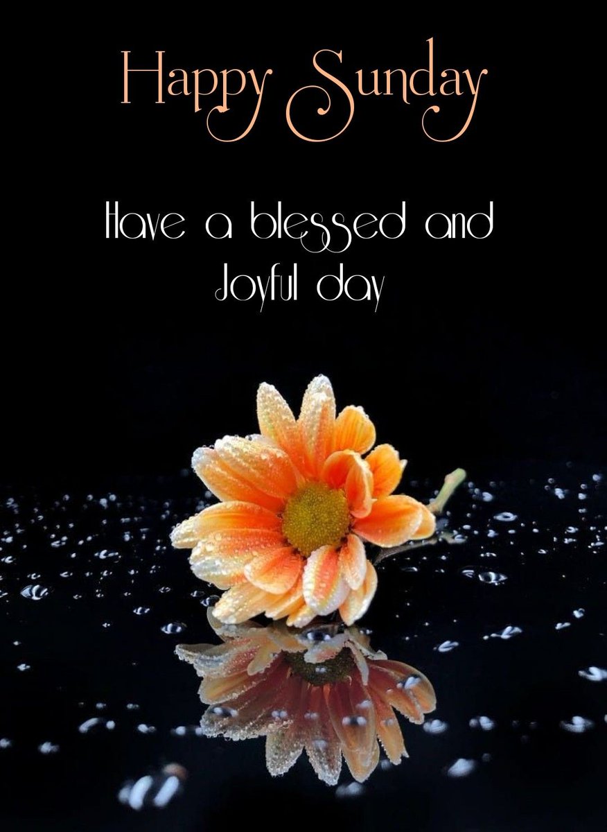 demethilo's tweet image. 