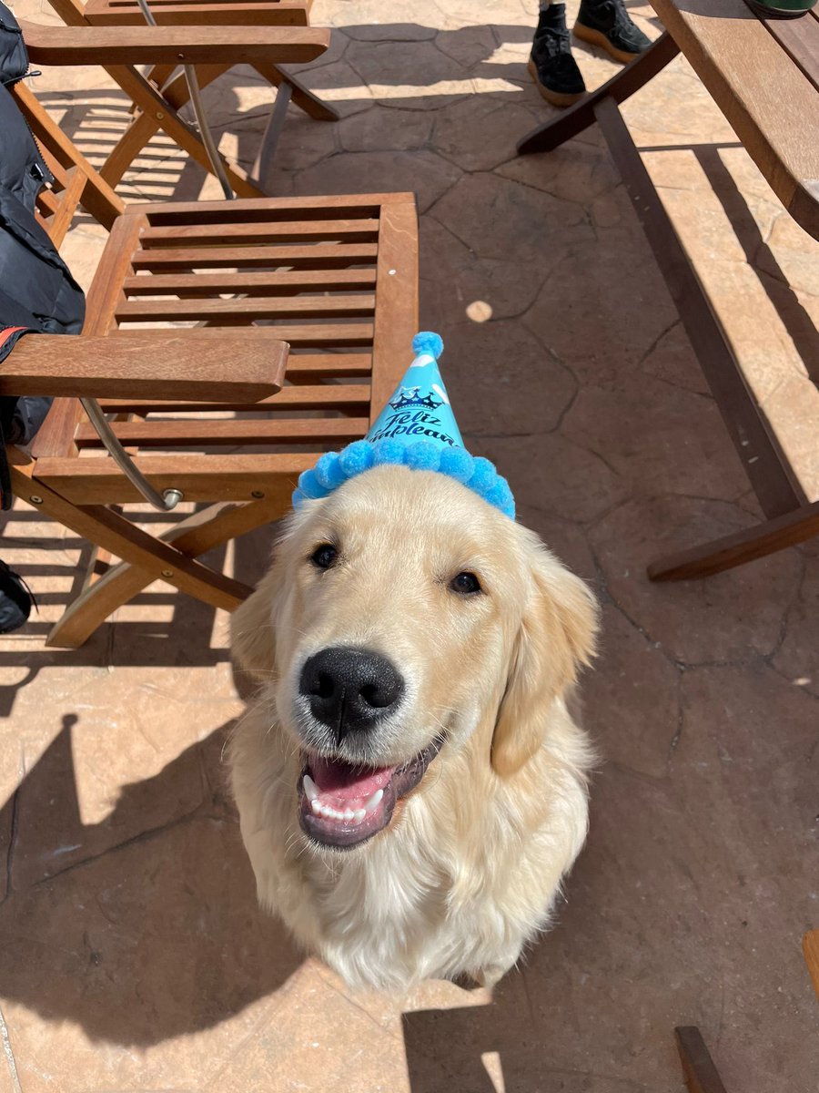 zzzzapa's tweet photo. está contento y quiere q lo veais 🥰🥰 https://t.co/rwuJhg9Sma